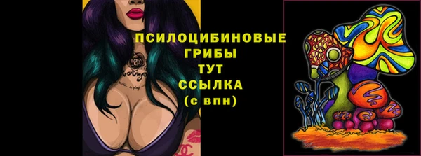 герыч Куйбышев