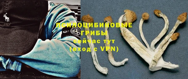 шишки Губаха